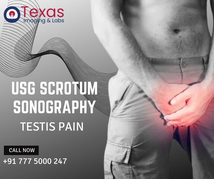 Sonography USG Scrotum Test